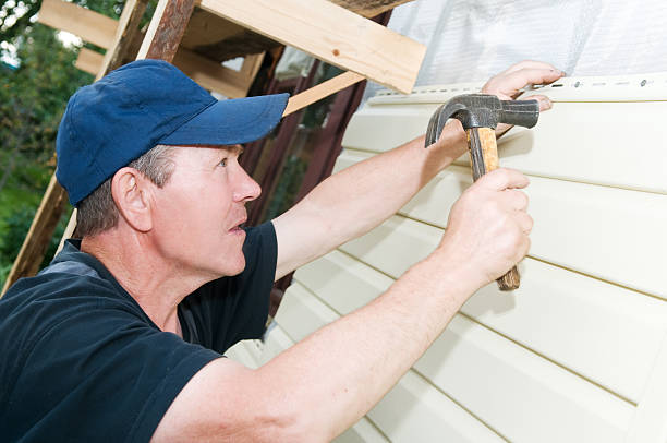 Best Basement Cleanout  in Beech Island, SC