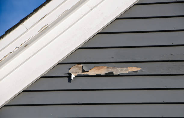 Best Hoarding Cleanup  in Beech Island, SC